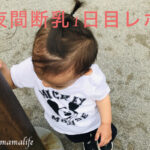 夜間断乳1日目 完母から1歳3ヶ月で卒乳したコツ