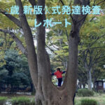 【子育てブログ】2歳8ヶ月男の子 新版K式発達検査を受けてみた