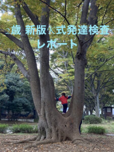 【子育てブログ】2歳8ヶ月男の子 新版K式発達検査を受けてみた